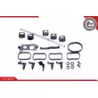 Kit de réparation, module de tube d'aspiration ESEN SKV 49SKV505 - Visuel 2