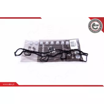 Kit de réparation, module de tube d'aspiration ESEN SKV 49SKV515