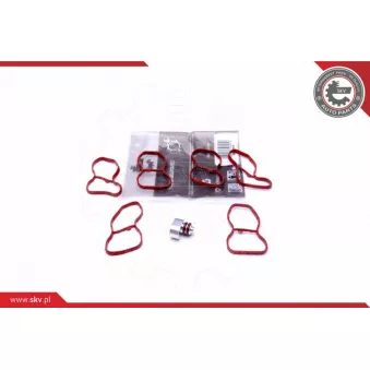 Kit de réparation, module de tube d'aspiration ESEN SKV 49SKV516