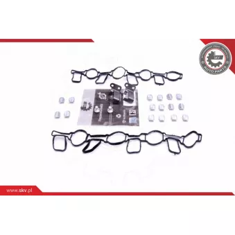Kit de réparation, module de tube d'aspiration ESEN SKV 49SKV519