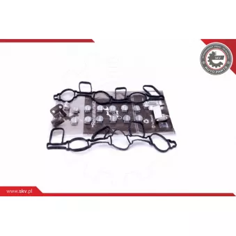 Kit de réparation, module de tube d'aspiration ESEN SKV 49SKV523