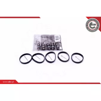 Kit de réparation, module de tube d'aspiration ESEN SKV 49SKV524