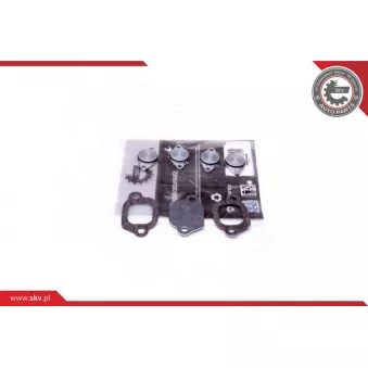 Kit de réparation, module de tube d'aspiration ESEN SKV 49SKV529