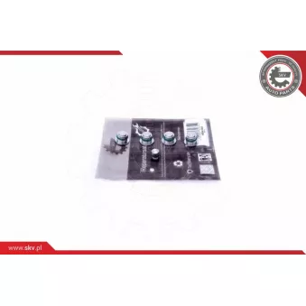 Kit de réparation, module de tube d'aspiration ESEN SKV 49SKV530
