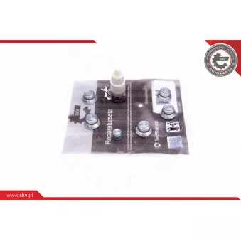 Kit de réparation, module de tube d'aspiration ESEN SKV 49SKV533