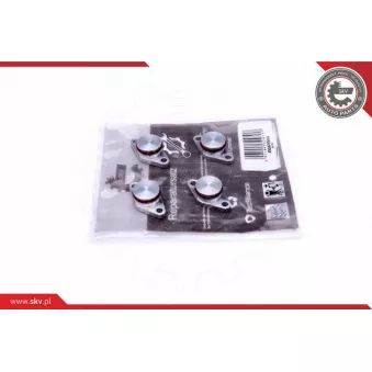 Kit de réparation, module de tube d'aspiration ESEN SKV
