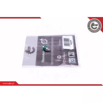 Kit de réparation, module de tube d'aspiration ESEN SKV 49SKV546