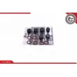 Kit de réparation, module de tube d'aspiration ESEN SKV 49SKV559 - Visuel 1