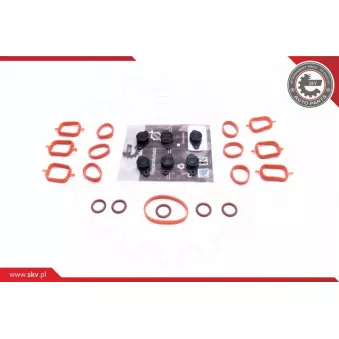 Kit de réparation, module de tube d'aspiration ESEN SKV 49SKV562