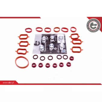 Kit de réparation, module de tube d'aspiration ESEN SKV 49SKV565