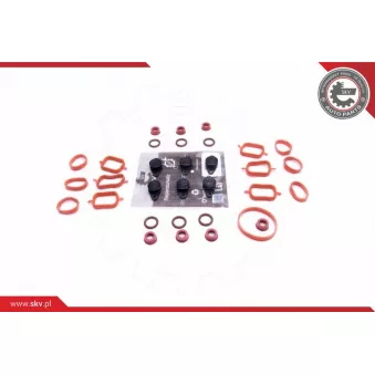 Kit de réparation, module de tube d'aspiration ESEN SKV 49SKV566