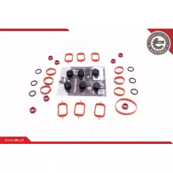 Kit de réparation, module de tube d'aspiration ESEN SKV 49SKV569
