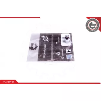 Kit de réparation, module de tube d'aspiration ESEN SKV 49SKV635