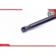 Vérin, capot-moteur ESEN SKV 52SKV005 - Visuel 3