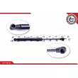 Vérin, capot-moteur ESEN SKV 52SKV020 - Visuel 1