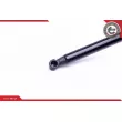 Vérin, capot-moteur ESEN SKV 52SKV024 - Visuel 3