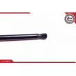 Vérin, capot-moteur ESEN SKV 52SKV050 - Visuel 3