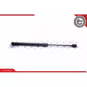 Vérin de hayon, de coffre ESEN SKV 52SKV568