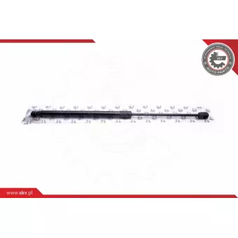 Vérin de hayon, de coffre ESEN SKV