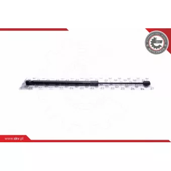 Vérin de hayon, de coffre ESEN SKV