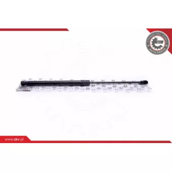 Vérin de hayon, de coffre ESEN SKV