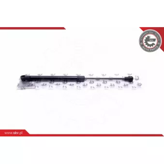 Vérin, vitre arrière ESEN SKV