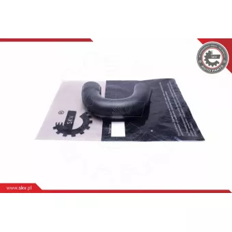 Gaine de suralimentation ESEN SKV 54SKV016
