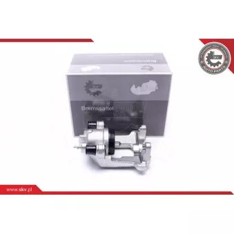 Étrier de frein arrière gauche ESEN SKV 56SKV093