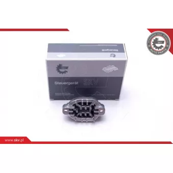 Dispositif de controle, projecteurs de virage ESEN SKV 59SKV108