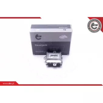 Dispositif de controle, projecteurs de virage ESEN SKV 59SKV145