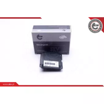 Dispositif de controle, projecteurs de virage ESEN SKV 59SKV147