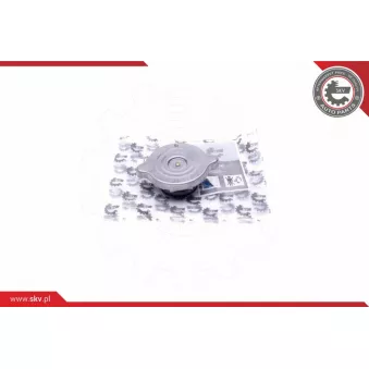 Bouchon, réservoir de liquide de refroidissement ESEN SKV 61SKV004