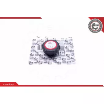 Bouchon, réservoir de liquide de refroidissement ESEN SKV 61SKV006