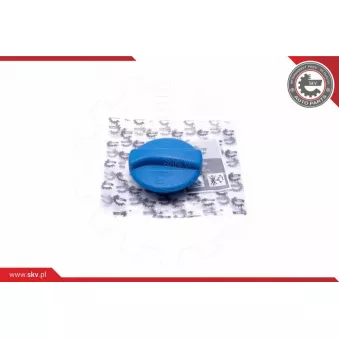 Bouchon, réservoir de liquide de refroidissement ESEN SKV 61SKV009