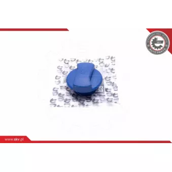 Bouchon, réservoir de liquide de refroidissement ESEN SKV 61SKV013