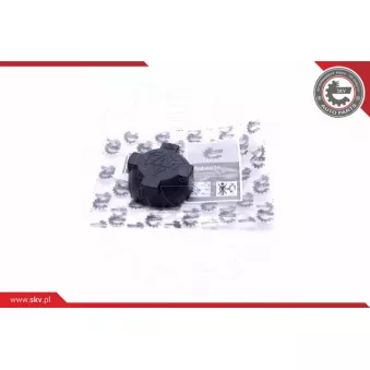 Bouchon, réservoir de liquide de refroidissement ESEN SKV 61SKV014