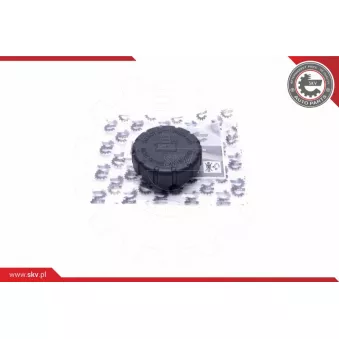 Bouchon, réservoir de liquide de refroidissement ESEN SKV 61SKV017