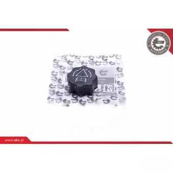 Bouchon, réservoir de liquide de refroidissement ESEN SKV 61SKV025