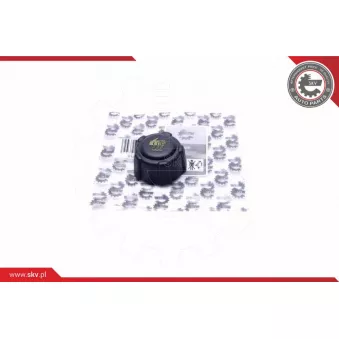 Bouchon, réservoir de liquide de refroidissement ESEN SKV 61SKV027