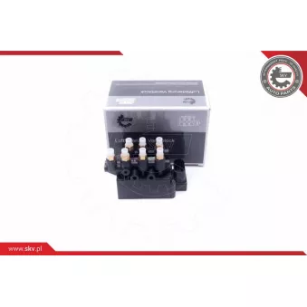 Valve, système d'air comprimé ESEN SKV 93SKV812