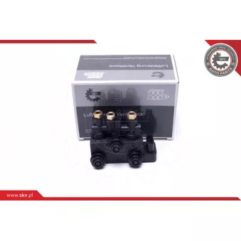 Valve, système d'air comprimé ESEN SKV 93SKV816