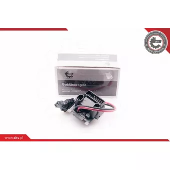 Résistance, pulseur d'air habitacle ESEN SKV 94SKV007