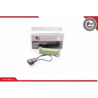Résistance, pulseur d'air habitacle ESEN SKV 94SKV033