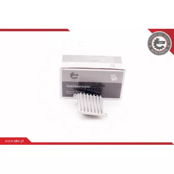 Résistance, pulseur d'air habitacle ESEN SKV 94SKV045