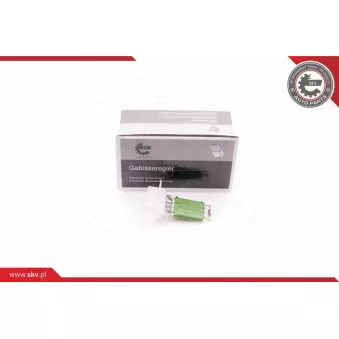 Résistance, pulseur d'air habitacle ESEN SKV 94SKV047