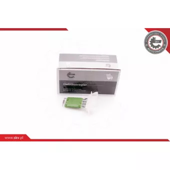 Résistance, pulseur d'air habitacle ESEN SKV 94SKV049