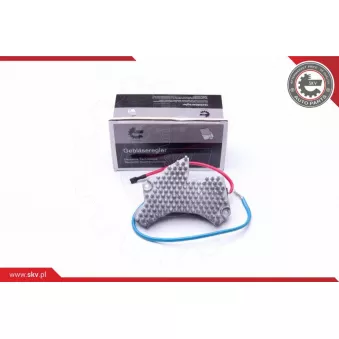 Résistance, pulseur d'air habitacle ESEN SKV 94SKV079