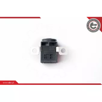Capteur, Gestion des batteries ESEN SKV 96SKV004