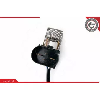 Ventilateur, refroidissement du moteur ESEN SKV 96SKV011