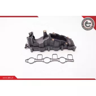 Module de tube d'admission ESEN SKV 96SKV017